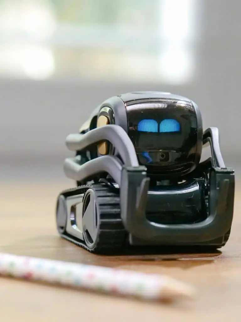 Robot